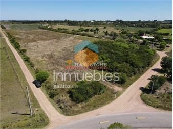 https://www.gallito.com.uy/chacra-de-3-has-en-los-cerrillos-sobre-ruta-a-5-inmuebles-27266255