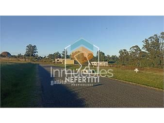 https://www.gallito.com.uy/oportunidad-terrenos-financiados-inmuebles-24820868