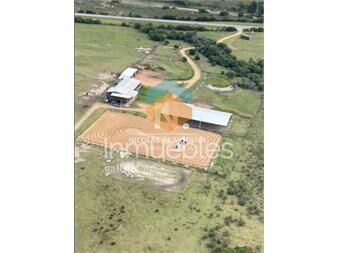 https://www.gallito.com.uy/en-venta-campo-de-5-has-en-altos-de-marelli-inmuebles-26181445