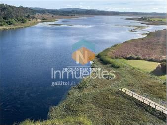 https://www.gallito.com.uy/vende-pent-house-duplex-en-playa-mansa-punta-del-inmuebles-27284911