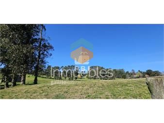 https://www.gallito.com.uy/terrenos-en-venta-frente-a-club-de-golf-de-punta-inmuebles-25951744
