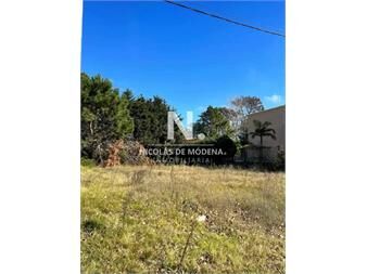 https://web5.gallito.com.uy/terreno-en-venta-en-rincon-del-indio-proximo-al-inmuebles-24994123