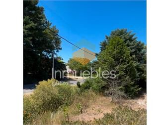 https://www.gallito.com.uy/venta-terreno-guazuvira-nuevo-inmuebles-26669281
