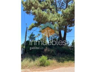 https://www.gallito.com.uy/venta-terreno-tio-tom-punta-ballena-maldonado-inmuebles-26881842