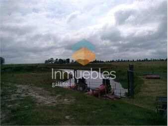 https://www.gallito.com.uy/campo-en-venta-treinta-y-tres-inmuebles-26797858