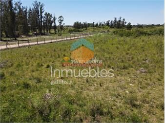 https://www.gallito.com.uy/chacra-de1-has-en-venta-a-10-min-de-sauce-a-1-km-inmuebles-26168559