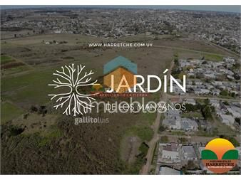 https://www.gallito.com.uy/jardin-de-los-manzanos-terrenos-en-progreso-inmuebles-26890628