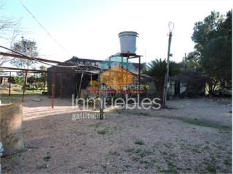 https://www.gallito.com.uy/chacra-de-14-has-a-pasitos-de-ruta-67-y-las-inmuebles-27266700