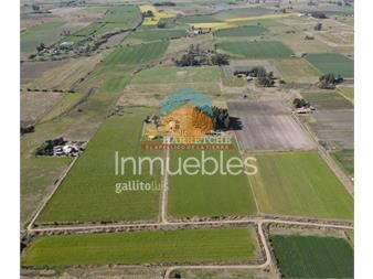 https://www.gallito.com.uy/campo-en-venta-18-has-canelones-con-todas-las-inmuebles-22779054