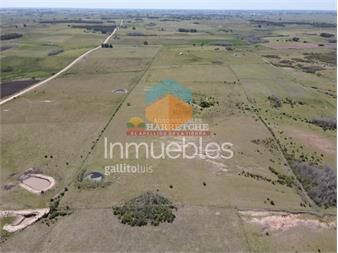 https://www.gallito.com.uy/campo-en-venta-19-has-en-tapia-2-casas-a-15-min-inmuebles-24598106