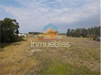 https://www.gallito.com.uy/chacra-a-5-min-de-sauce-9-has-sobre-ruta-y-con-inmuebles-25831575