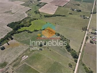 https://www.gallito.com.uy/venta-de-chacra-12-hectareas-monte-arroyo-inmuebles-24956998