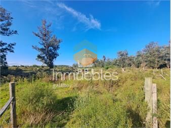 https://www.gallito.com.uy/venta-de-lote-eden-rock-ref-pbi14739-inmuebles-27206127