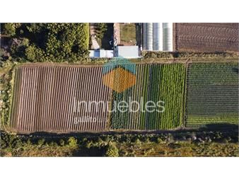https://www.gallito.com.uy/venta-de-terreno-de-6795-mts-san-jose-carrasco-inmuebles-26830681