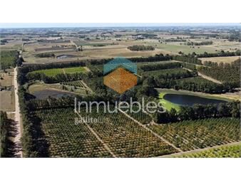 https://www.gallito.com.uy/venta-campo-quinta-92-hectareas-ruta-11-atlantida-inmuebles-27296751