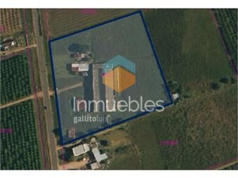 https://www.gallito.com.uy/venta-local-galpon-deposito-pedro-de-mendoza-y-ruta-32-inmuebles-27297465