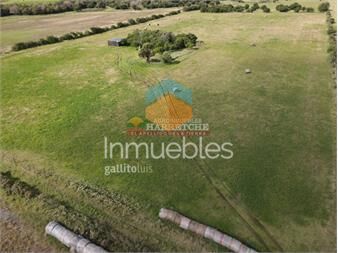https://www.gallito.com.uy/chacra-de-5-has-en-los-cerrillos-cañada-muy-inmuebles-25518926