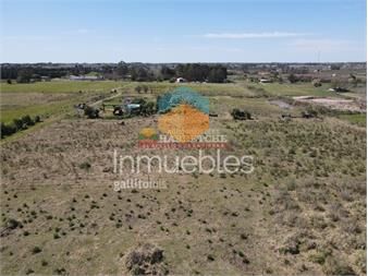 https://www.gallito.com.uy/chacra-en-venta-7-has-montevideo-rural-a-1-km-inmuebles-25161197