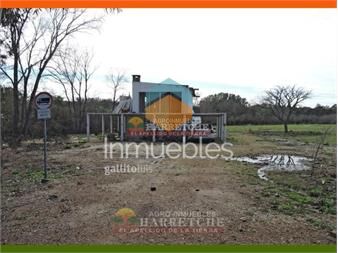 https://www.gallito.com.uy/chacra-en-venta-3-has-con-casa-en-el-colorado-inmuebles-22126646