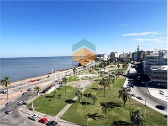 https://www.gallito.com.uy/alquiler-2-dormitorios-amplios-y-escritorio-de-estilo-recic-inmuebles-27252250