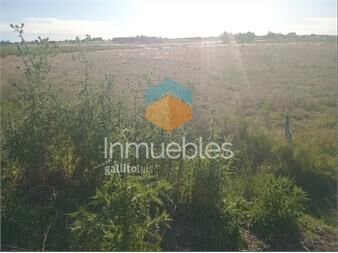 https://www.gallito.com.uy/chacra-6-hectareas-en-canelones-con-casa-inmuebles-27299853