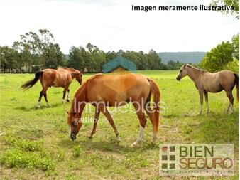 https://www.gallito.com.uy/chacra-excelente-acceso-y-muy-buen-indice-de-productividad-inmuebles-25570981