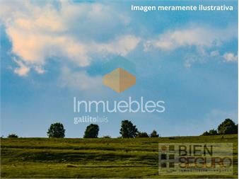 https://www.gallito.com.uy/terreno-de-1200m-en-venta-en-las-brujas-inmuebles-24449890