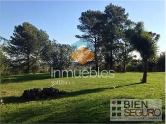 https://www.gallito.com.uy/chacra-de-6-has-en-venta-en-las-brujas-inmuebles-27125286