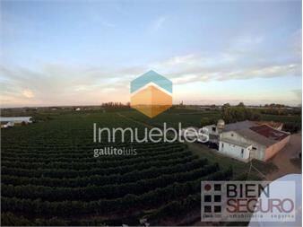 https://www.gallito.com.uy/chacra-de-11-has-con-bodega-y-viñedos-en-venta-proximo-a-inmuebles-25917728