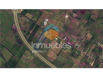 https://www.gallito.com.uy/venta-terreno-sobre-ruta-1-paso-de-la-arena-inmuebles-26669868