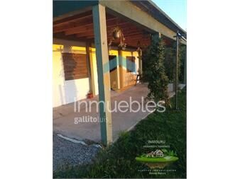 https://www.gallito.com.uy/venta-de-chacra-el-colonia-inmuebles-27301198