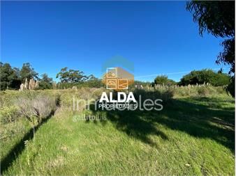 https://www.gallito.com.uy/terreno-en-barra-portezuelo-ref-te200595-inmuebles-20297145