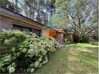 https://www.gallito.com.uy/venta-de-gran-terreno-marly-punta-del-este-inmuebles-27305992
