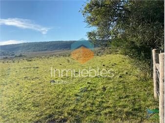 https://www.gallito.com.uy/buen-campo-mixto-a-1-hora-de-punta-buen-acceso-e-inmuebles-23758995