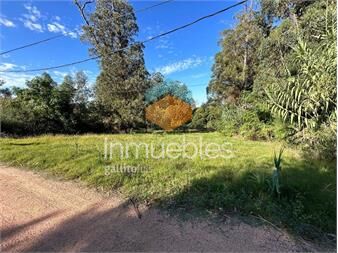 https://www.gallito.com.uy/venta-terreno-punta-ballena-maldonado-inmuebles-27306010