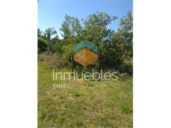 https://www.gallito.com.uy/terrenos-en-balneario-los-pinos-2-inmuebles-26027037