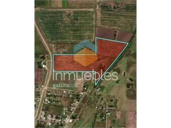 https://www.gallito.com.uy/venta-terreno-suburbano-9-37ha-castellanos-inmuebles-27306178