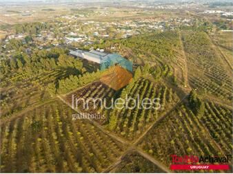 https://www.gallito.com.uy/venta-magnifico-terreno-para-urbanizacion-en-zona-de-barrio-inmuebles-24867312