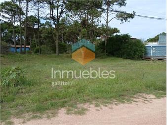 https://www.gallito.com.uy/venta-terreno-en-punta-del-diablo-inmuebles-27003176