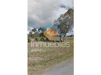 https://www.gallito.com.uy/venta-de-6-terrenos-en-balneario-atlantica-rocha-inmuebles-27042385