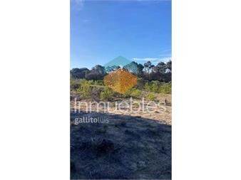 https://www.gallito.com.uy/terreno-sobre-aroyo-el-potrero-ocean-park-inmuebles-27306264