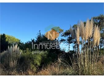 https://www.gallito.com.uy/en-venta-terreno-en-barraverde-con-gran-inmuebles-26109259