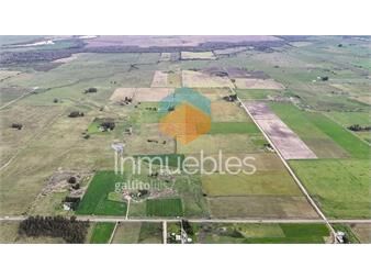 https://www.gallito.com.uy/venta-campo-alta-productividad-chamizo-florida-inmuebles-27067690