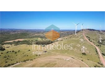 https://www.gallito.com.uy/venta-campo-ganadero-forestal-maldonado-lavalleja-inmuebles-27306571