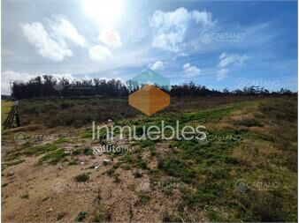 https://www.gallito.com.uy/venta-terreno-la-barra-inmuebles-24053139