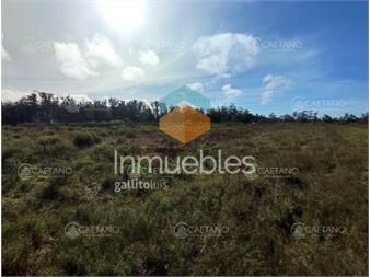 https://www.gallito.com.uy/venta-terreno-el-tesoro-la-barra-inmuebles-27306775
