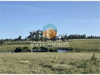 https://www.gallito.com.uy/campo-en-venta-en-inmejorable-ubicacion-inmuebles-27306879