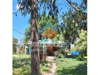 https://www.gallito.com.uy/venta-de-casa-a-reciclar-en-el-pinar-inmuebles-27306882