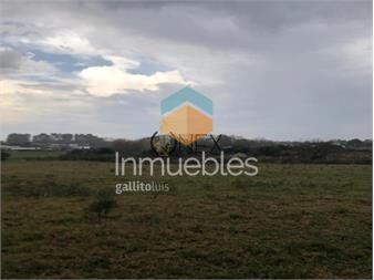 https://www.gallito.com.uy/se-venden-15-hectareas-en-pando-inmuebles-27306922