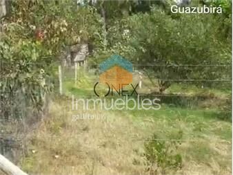 https://www.gallito.com.uy/vendo-terreno-en-guazuvira-inmuebles-27306939
